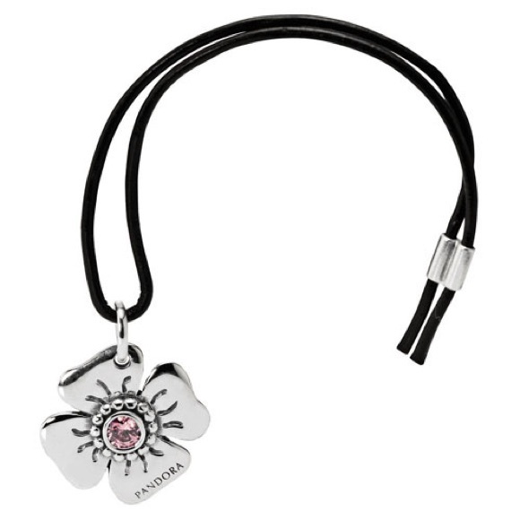 Flower Clasp Opener
Sterling Silver Clasp Opener with Pink Zirconia - Picture 2 of 3